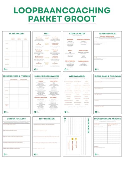 Loopbaancoaching Pakket Groot (12x)