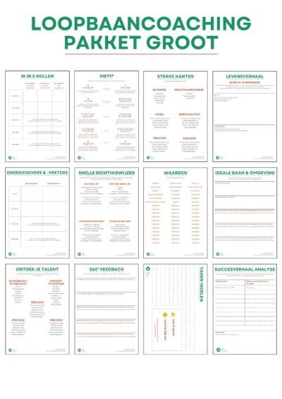 Loopbaancoaching Pakket Groot (13x)